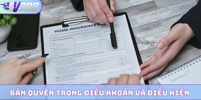 Bản quyền trong điều khoản và điều kiện 2026