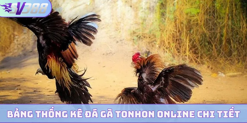 Bảng thống kê đá gà Tonhon online chi tiết