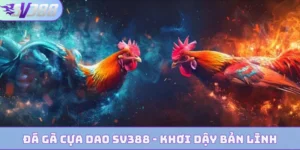 da ga cua dao bia