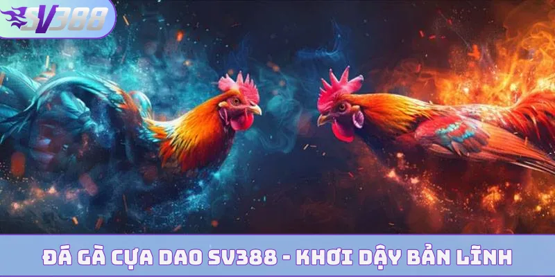 da ga cua dao bia